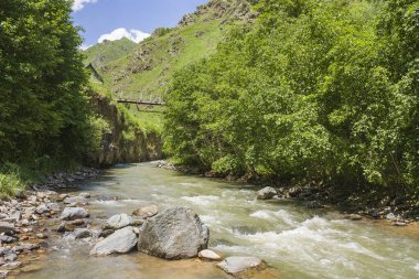 Ormandaki ve dağlardaki dağ nehri. Yazın güzel doğal manzara. Kabardino-Balkar Cumhuriyeti 'ndeki Ulusal Park. Rusya Federasyonu.
