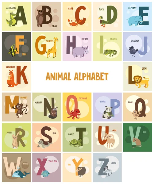 Alphabet, names and animals on colored backgrounds — Stock Vector