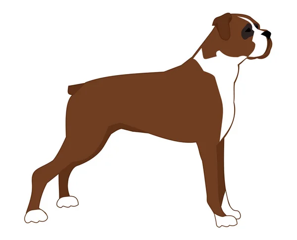 Ilustración vectorial de un gran perro marrón sobre un fondo blanco — Vector de stock