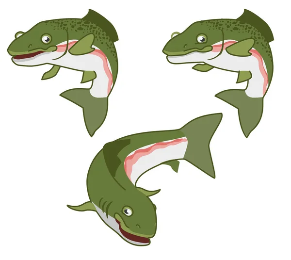 Trucha arco iris. la impresión de los peces sobre fondo blanco. vector — Archivo Imágenes Vectoriales