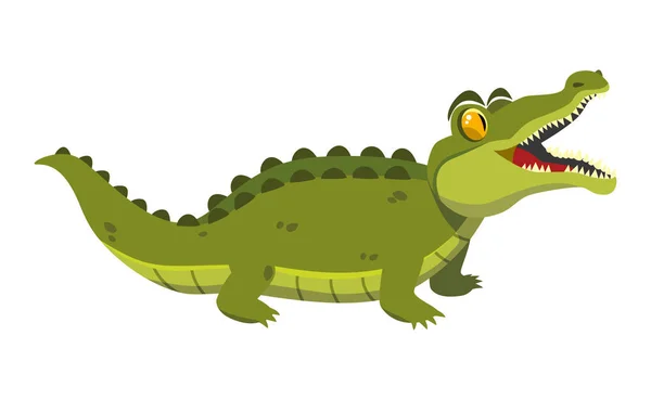 Crocodilo verde engraçado em um fundo branco. vetor — Vetor de Stock