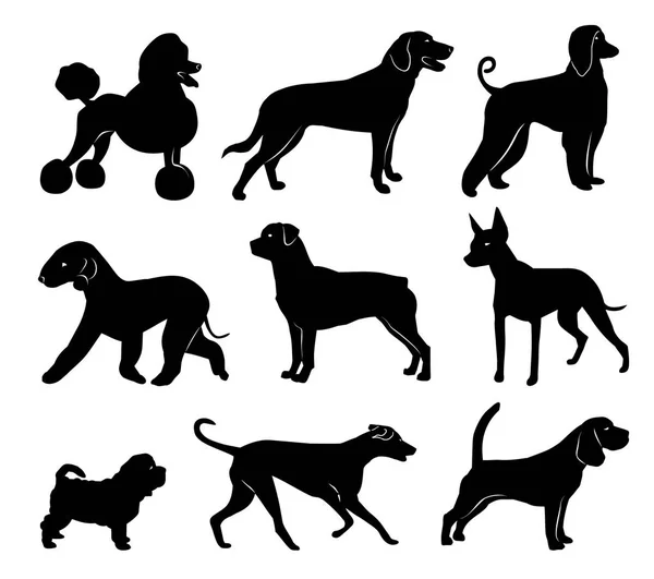 Köpek siluetleri kümesi. vektör çizim — Stok Vektör