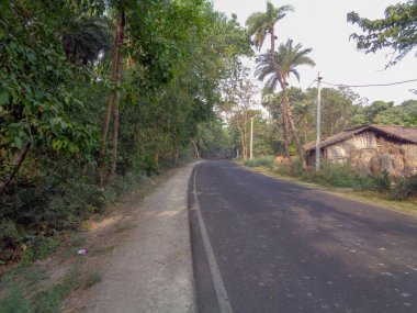 Ormandan geçen karayolu.