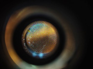 Renk yazdırma ürünlerinin atom boyutu