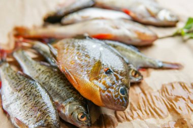 Taze faw balık kağıt ve ahşap arka plan