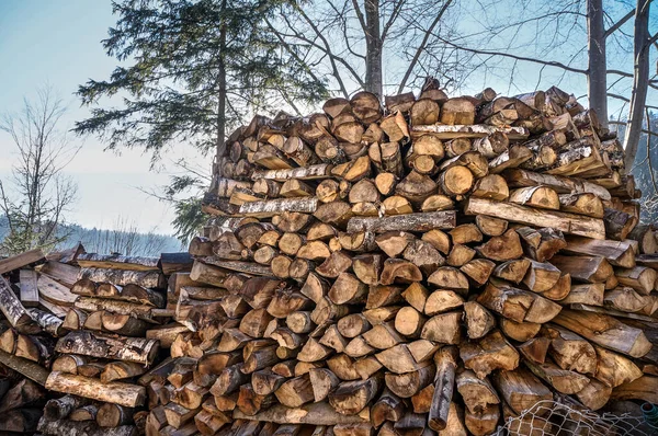 Haufen Holzscheite Freien — Stockfoto