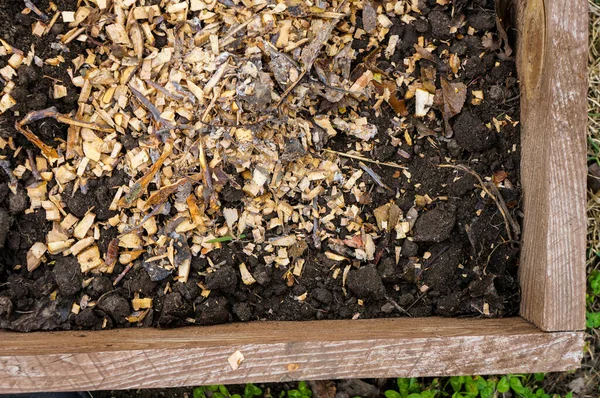 Canteiro Flores Mulching Com Árvore Pinho Casca Mulch — Fotografia de Stock