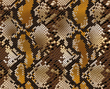 Yılan derisi desenli, modaya uygun, pürüzsüz bir iz. Moda ve modaya uygun arka plan.