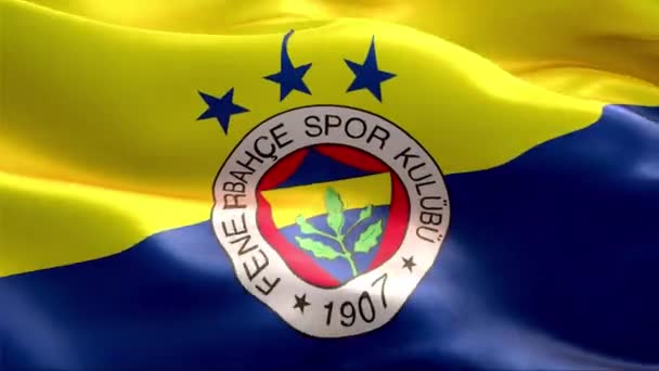 Bandeira Fenerbahce Acenando Vento Alta Resolução Full Looping Vídeo Bandeira — Vídeo de Stock