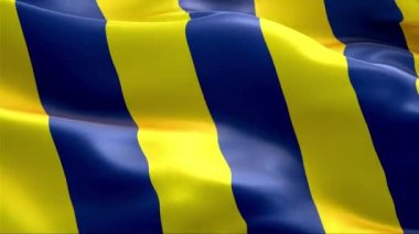 Fenerbahçe bayrağı rüzgarda sallanıyor. 4K Yüksek Çözünürlük Tam HD. Uluslararası Fenerbahçe Bayrağının Döngüleme Videosu.