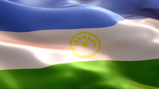 Флаг Башкортостана Машущий Ветру Высокое Разрешение Full Циклическое Видео Международного — стоковое видео