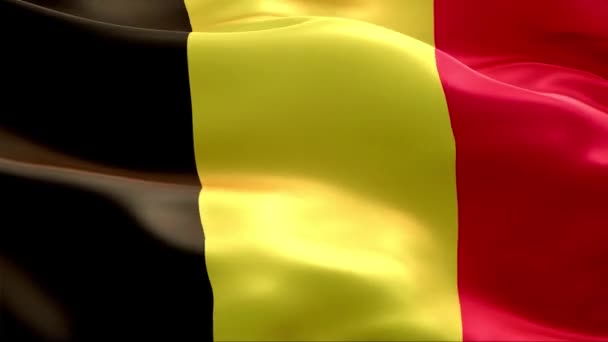 Rüzgarda Sallanan Belçika Bayrağı Yüksek Çözünürlük Tam Uluslararası Belçika Bayrağının — Stok video