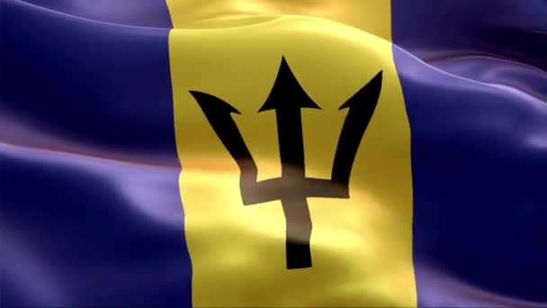 Bandera Barbados Ondeando Viento Alta Resolución Full Vídeo Looping Bandera — Vídeo de stock