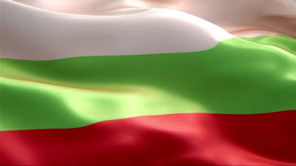 Die Flagge Bulgariens Weht Wind High Resolution Full Schleifenvideo Der — Stockvideo