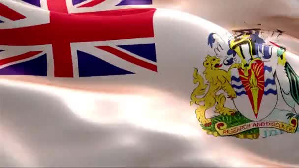 Bandera Del Territorio Antártico Británico Ondeando Viento Alta Resolución Full — Vídeos de Stock