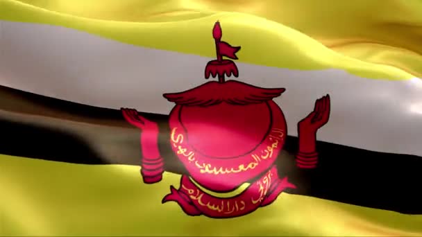 Bandera Brunei Ondeando Viento Alta Resolución Full Vídeo Looping Bandera — Vídeo de stock