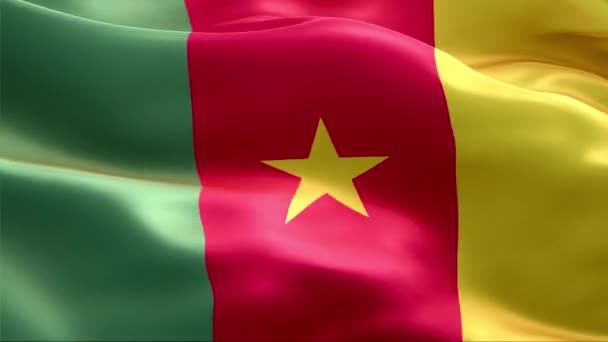 Kamerunská Vlajka Vlála Větru High Resolution Full Looping Video International — Stock video