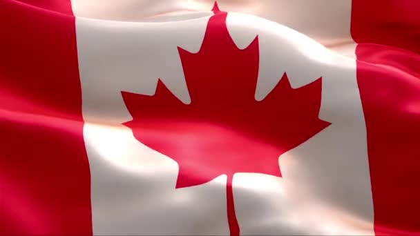 Флаг Канады Размахивающий Ветром Высокое Разрешение Full Циклическое Видео Международного — стоковое видео