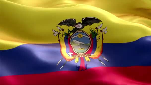 Die Flagge Ecuadors Weht Wind High Resolution Full Schleifenvideo Der — Stockvideo