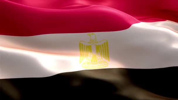 Drapeau Egypte Agitant Dans Vent Haute Résolution Full Boucle Vidéo — Video