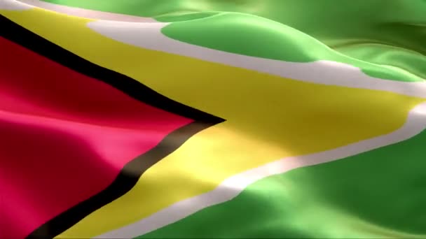 Bandera Guyana Ondeando Viento Alta Resolución Full Vídeo Looping Bandera — Vídeo de stock