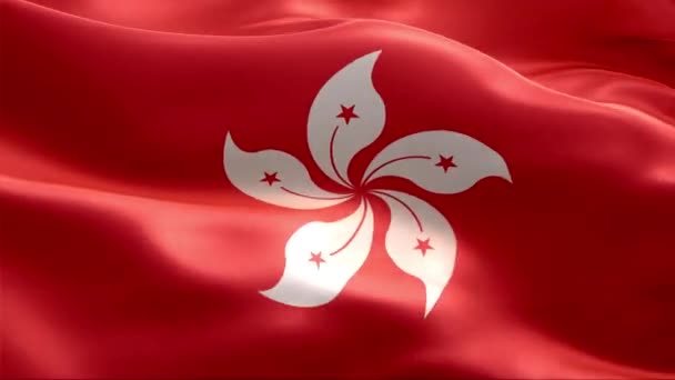 Прапор Гонгконгу Махає Вітром High Resolution Full Looping Video International — стокове відео