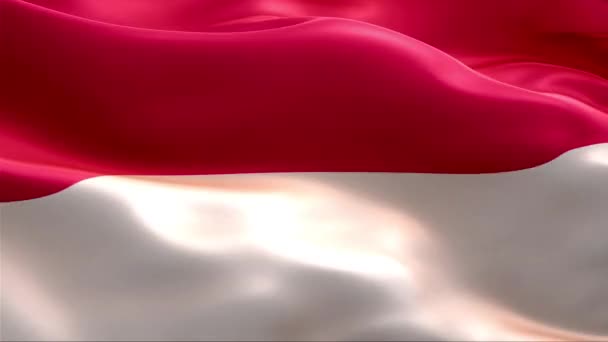 Flagge Indonesiens Weht Wind High Resolution Full Looping Video Der — Stockvideo