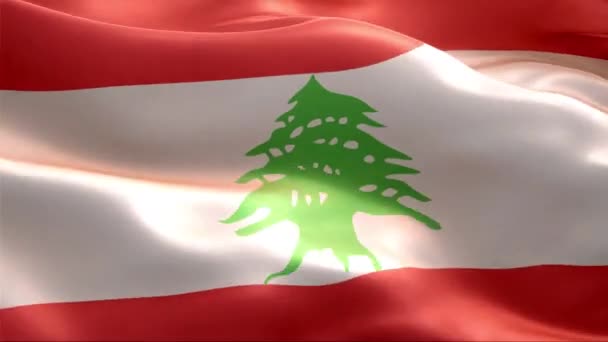 Flag Lebanon Waving Wind High Resolution Full Looping Video International — Stock Video