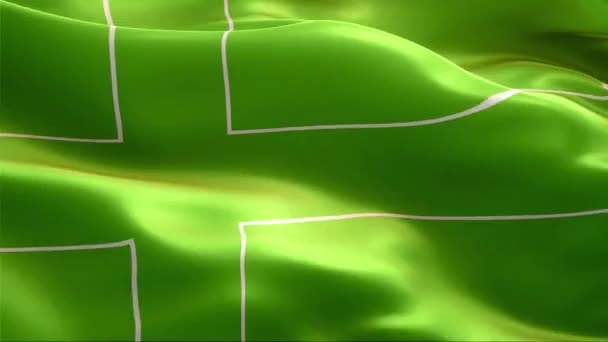 Флаг Ладонии Размахивающий Ветром Высокое Разрешение Full Циклическое Видео Международного — стоковое видео