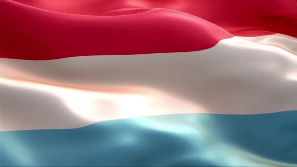 Lucemburská Vlajka Vlnící Větru High Resolution Full Smyčka Video Mezinárodní — Stock video