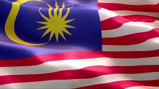 Malezya Bayrağı Rüzgarda Dalgalanıyor Yüksek Çözünürlük Tam Uluslararası Malezya Bayrağının — Stok video