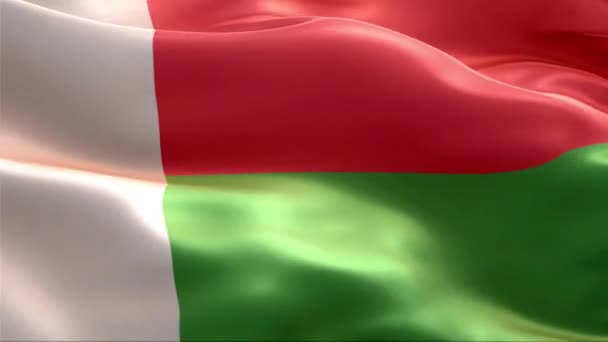 Madagaskars Flagga Viftar Vinden Full Med Hög Upplösning Looping Video — Stockvideo