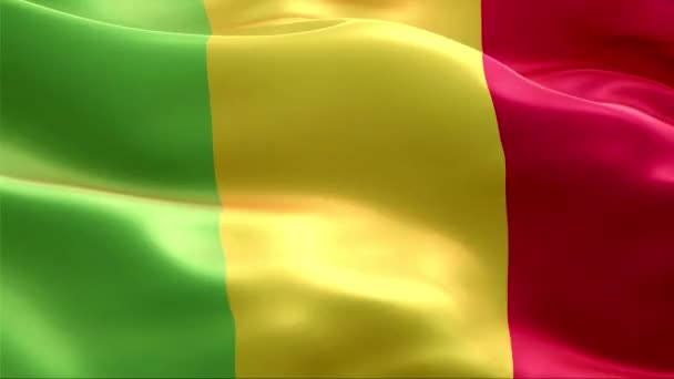 Flag Mali Waving Wind High Resolution Full Looping Video International — Stock Video