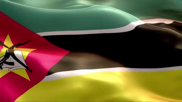 Bandera Mozambique Ondeando Viento Alta Resolución Full Vídeo Looping Bandera — Vídeo de stock