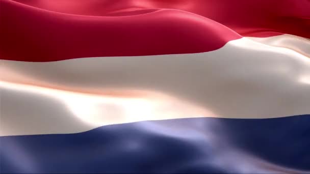 Bandera Holanda Ondeando Viento Alta Resolución Full Vídeo Looping Bandera — Vídeo de stock