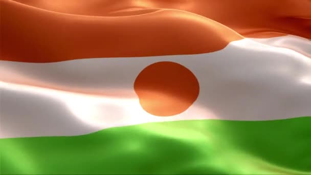 Drapeau Niger Agitant Dans Vent Haute Résolution Full Vidéo Boucle — Video