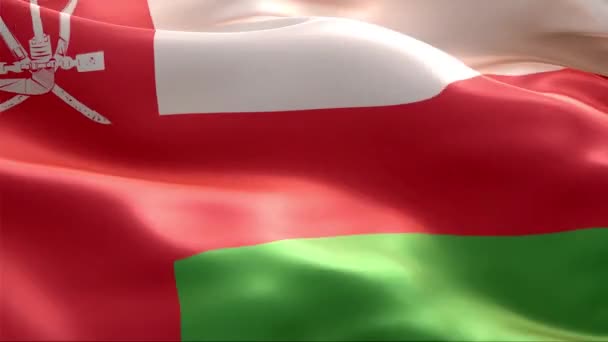 Flag Oman Waving Wind High Resolution Full Looping Video International — Stock Video