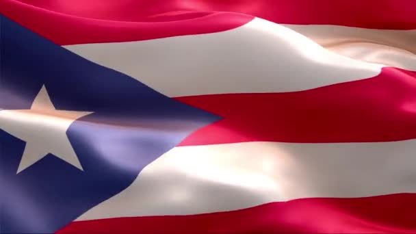 ポルト リコの旗が風になびく 4K高解像度フルHd プエルトリコの国際旗のループビデオ — ストック動画