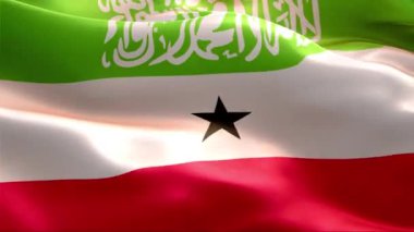 Rüzgarda dalgalanan Somaliland bayrağı. 4K Yüksek Çözünürlük Tam HD. Uluslararası Somaliland Bayrağının Döngüleme Videosu.