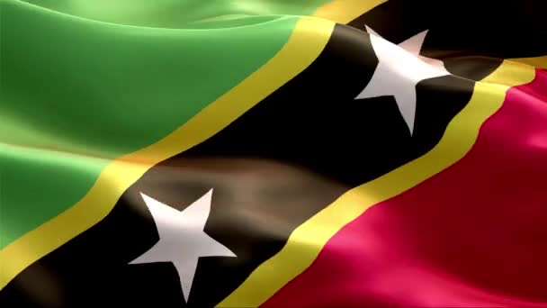 Flagga Saint Kitts Och Nevis Vinkar Vinden Full Med Hög — Stockvideo
