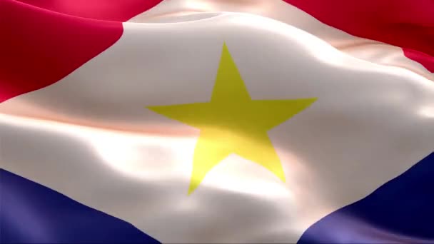 萨巴旗在风中飘扬 4K高分辨率全息Hd 萨巴岛国际旗帜环线录像 — 图库视频影像