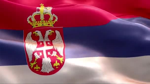 Σημαία Της Σερβίας Κυματίζει Στον Άνεμο Υψηλής Ανάλυσης Full Looping — Αρχείο Βίντεο