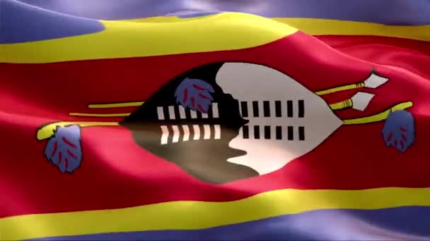 Bandera Suazilandia Ondeando Viento Alta Resolución Full Vídeo Looping Bandera — Vídeo de stock