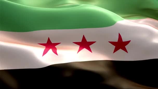 Flag Syria Waving Wind High Resolution Full Looping Video International — Stock Video