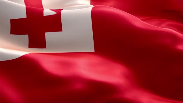 Bandera Tonga Ondeando Viento Alta Resolución Full Vídeo Looping Bandera — Vídeos de Stock