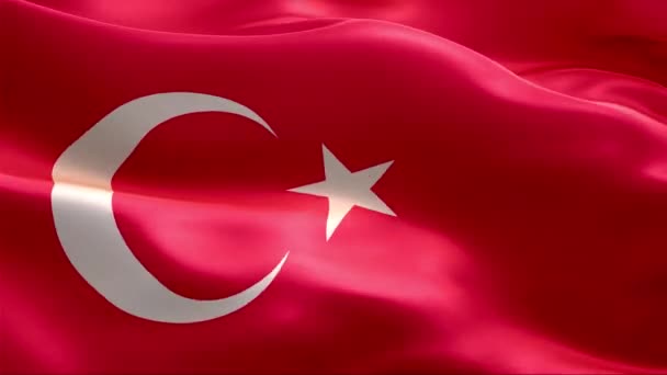 Turecká Vlajka Vlnící Větru High Resolution Full Smyčka Video Mezinárodní — Stock video