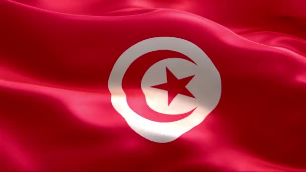 Tunus Bayrağı Rüzgarda Sallanıyor Yüksek Çözünürlük Tam Uluslararası Tunus Bayrağının — Stok video