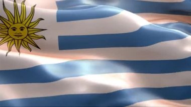 Uruguay bayrağı rüzgarda sallanıyor. 4K Yüksek Çözünürlük Tam HD. Uruguay Uluslararası Bayrağının Döngüleme Videosu.
