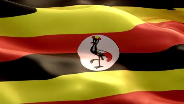 Bandera Uganda Ondeando Viento Alta Resolución Full Vídeo Looping Bandera — Vídeos de Stock