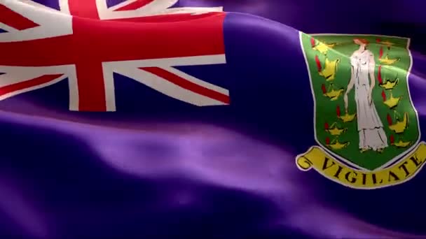 Jungfruöarnas Flagga Vinkar Vinden Full Med Hög Upplösning Looping Video — Stockvideo